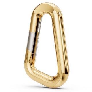 Small Carabiner Hinge