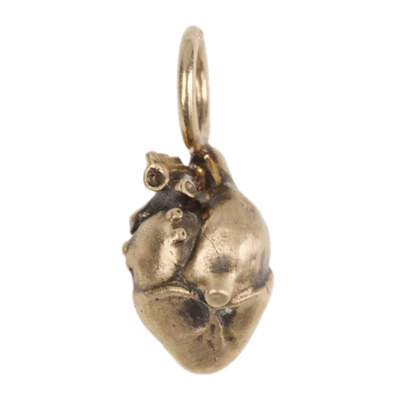 Gold Patina Anatomical Heart Charm