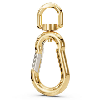 Swivel Carabiner Hinge