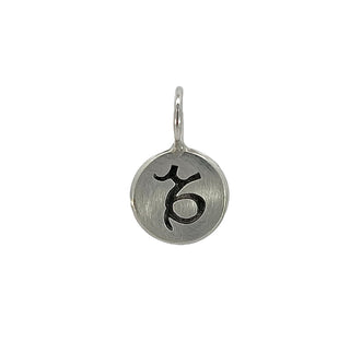 Zodiac Sign Round Charm